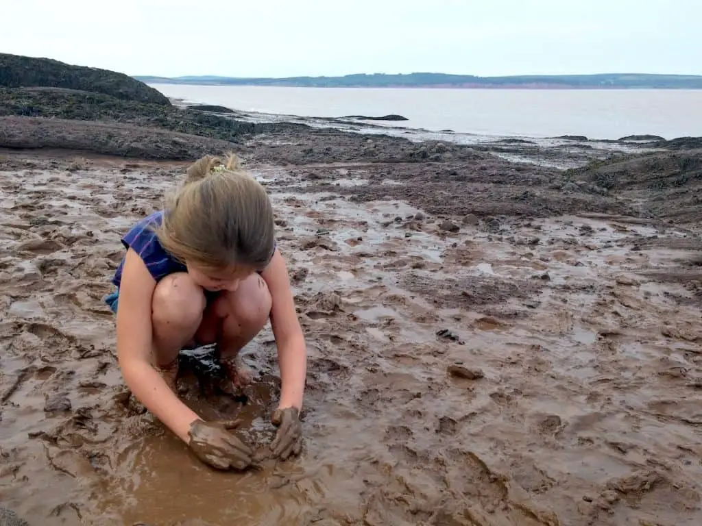 Hopewell Rocks - Travelocity Eastern Canada