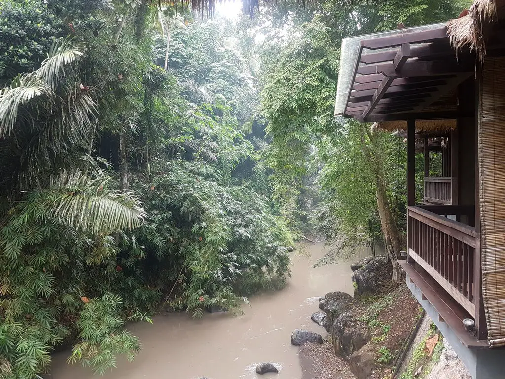 Sukhavati Ayurvedic Retreat Bali - views