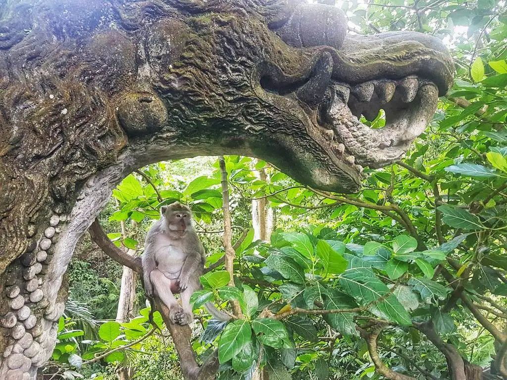 Things To Do In Ubud - Monkey Forest 