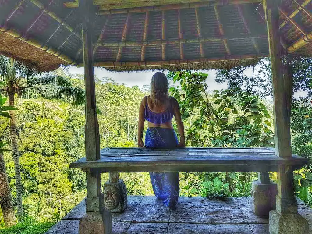 Ubud villa - Erin outlook