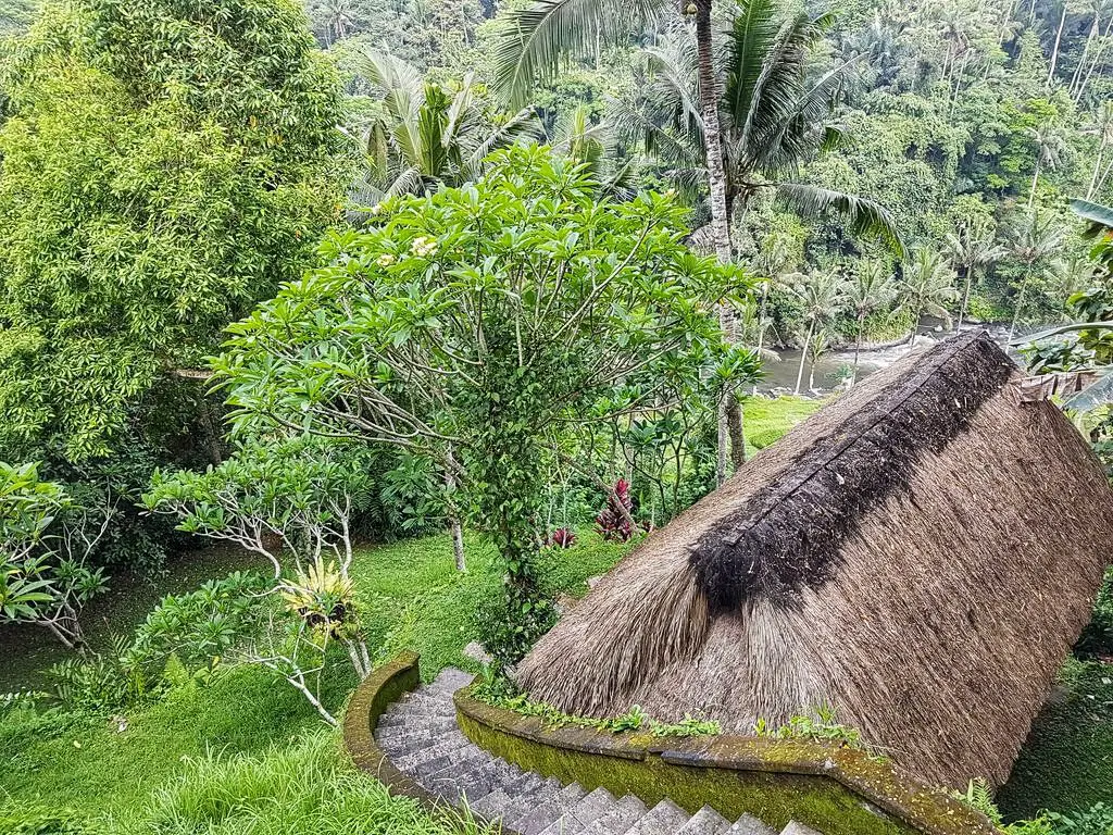 Ubud villa - views