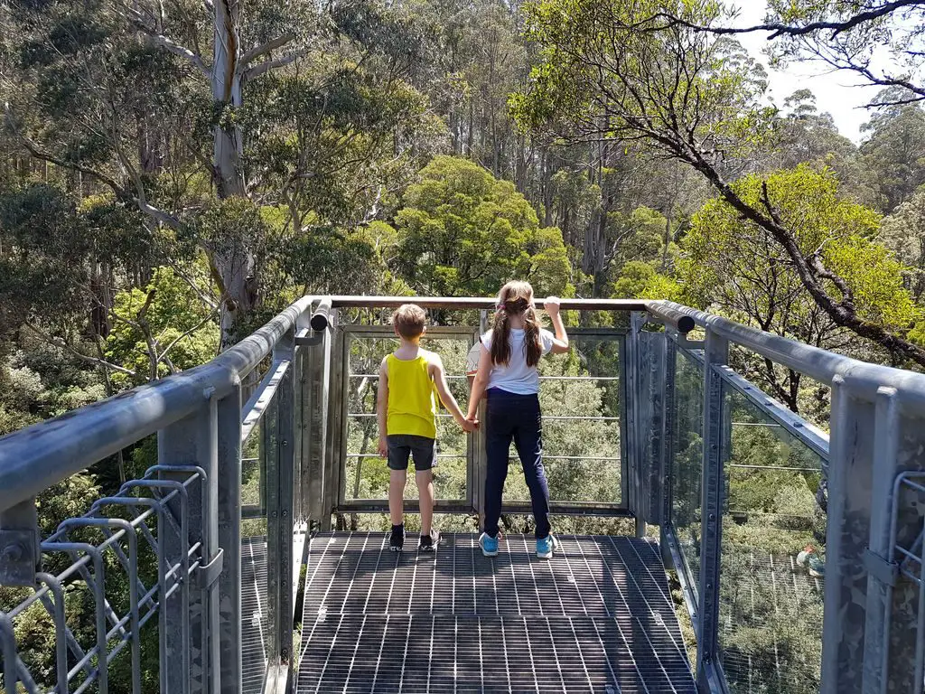 Otway Fly Treetop Adventures - kids