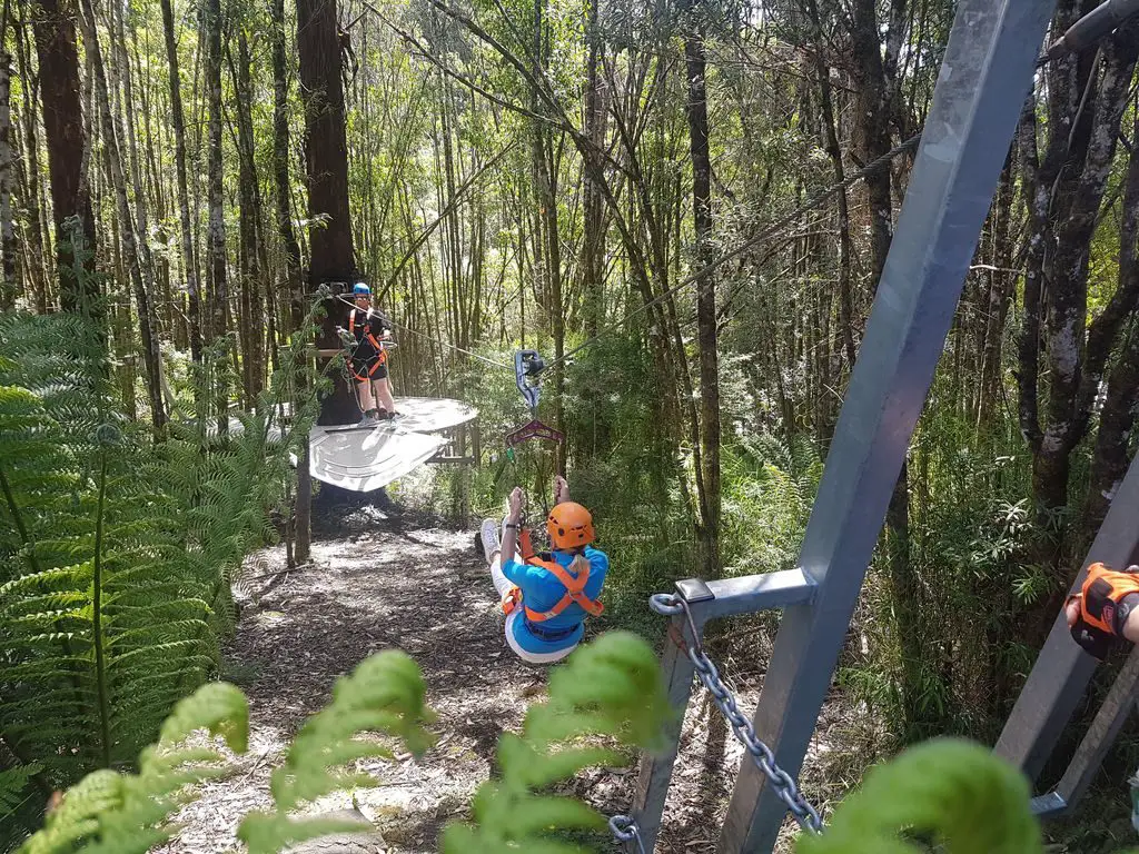 Otway Fly Treetop Adventures - practice