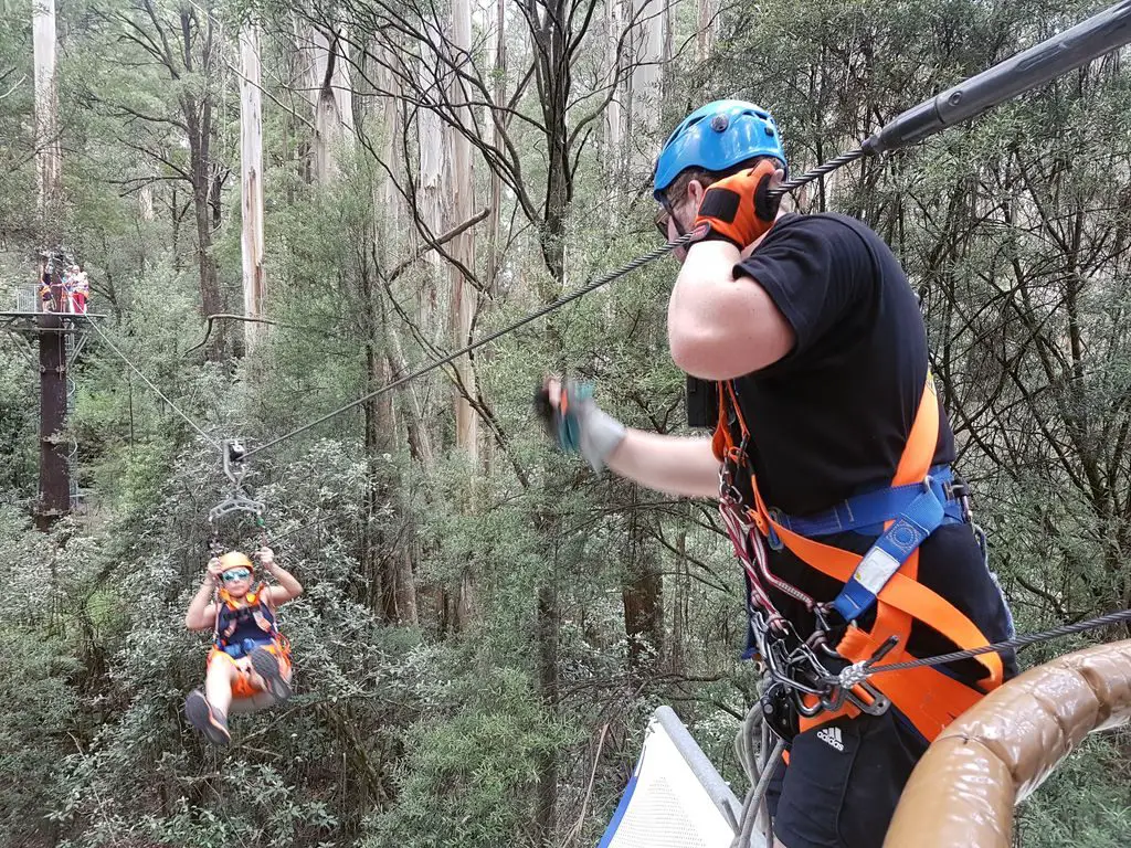 Otway Fly Treetop Adventures - Mommy Travels