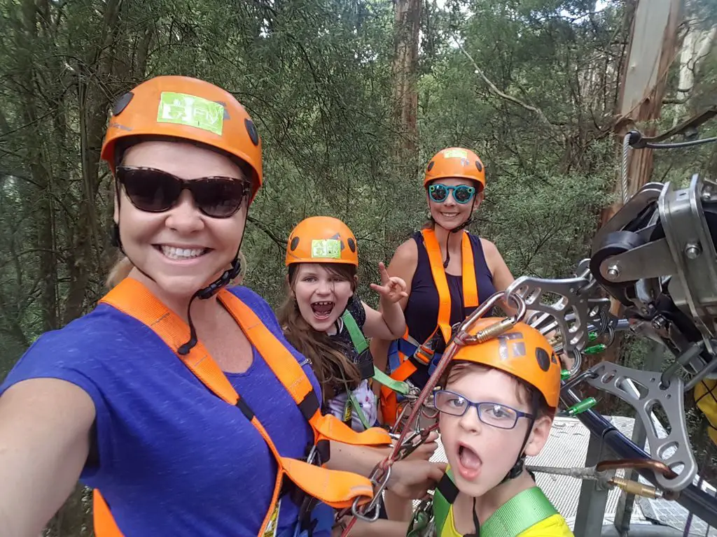 Otway Fly Treetop Adventures - Potrait