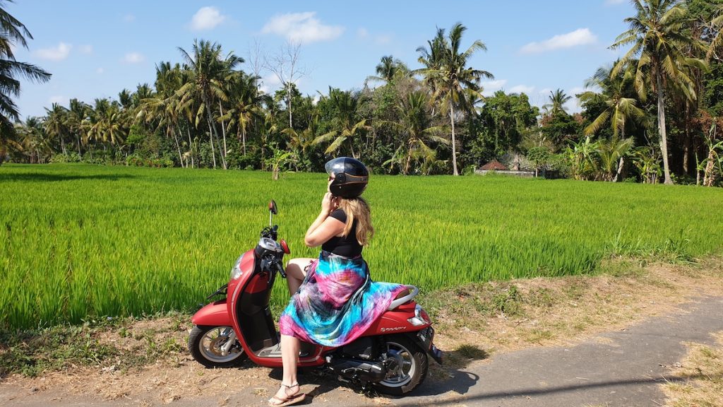 Bali Safari Park review with kids - driving in bali