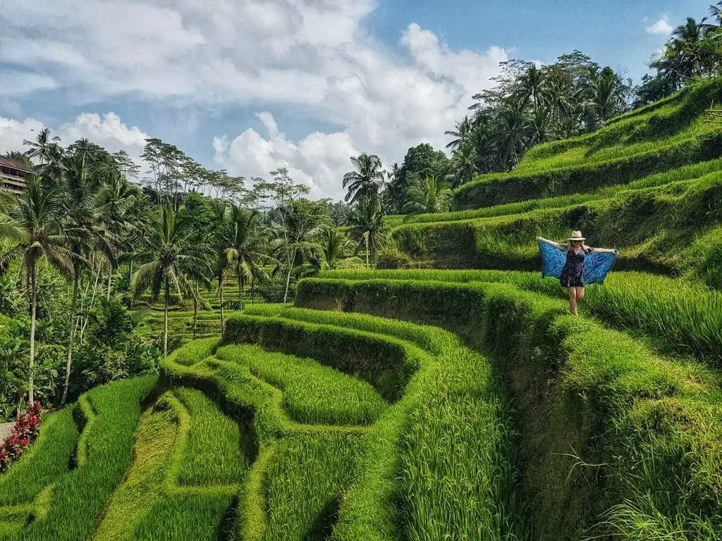 Things To Do In Ubud - Rice terrace