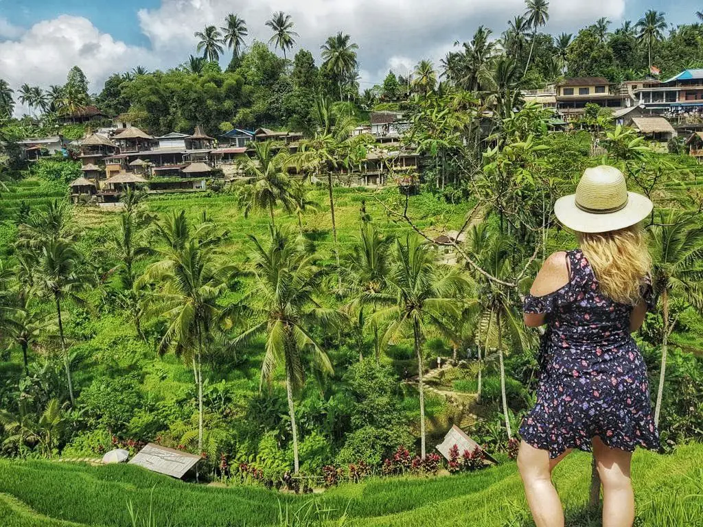 Things To Do In Ubud - Rice terrace