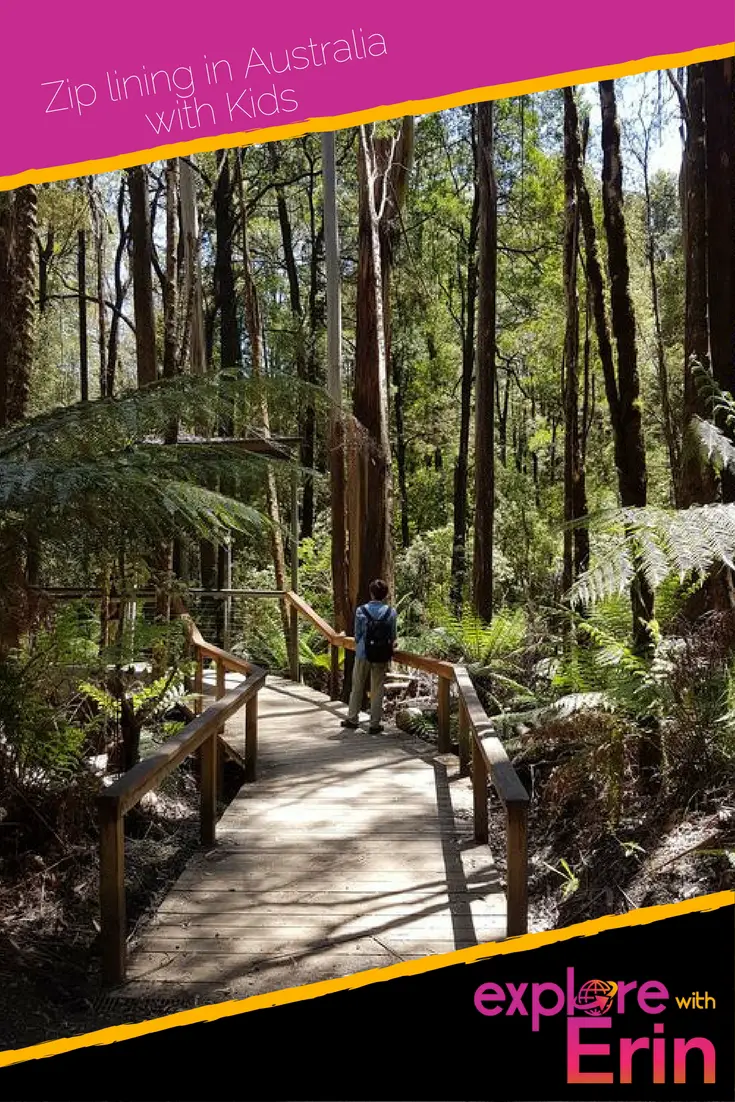 Otway Fly Treetop Adventures - the highest treetop walk in the world. Take the kids this school holidays. Victoria, Australia