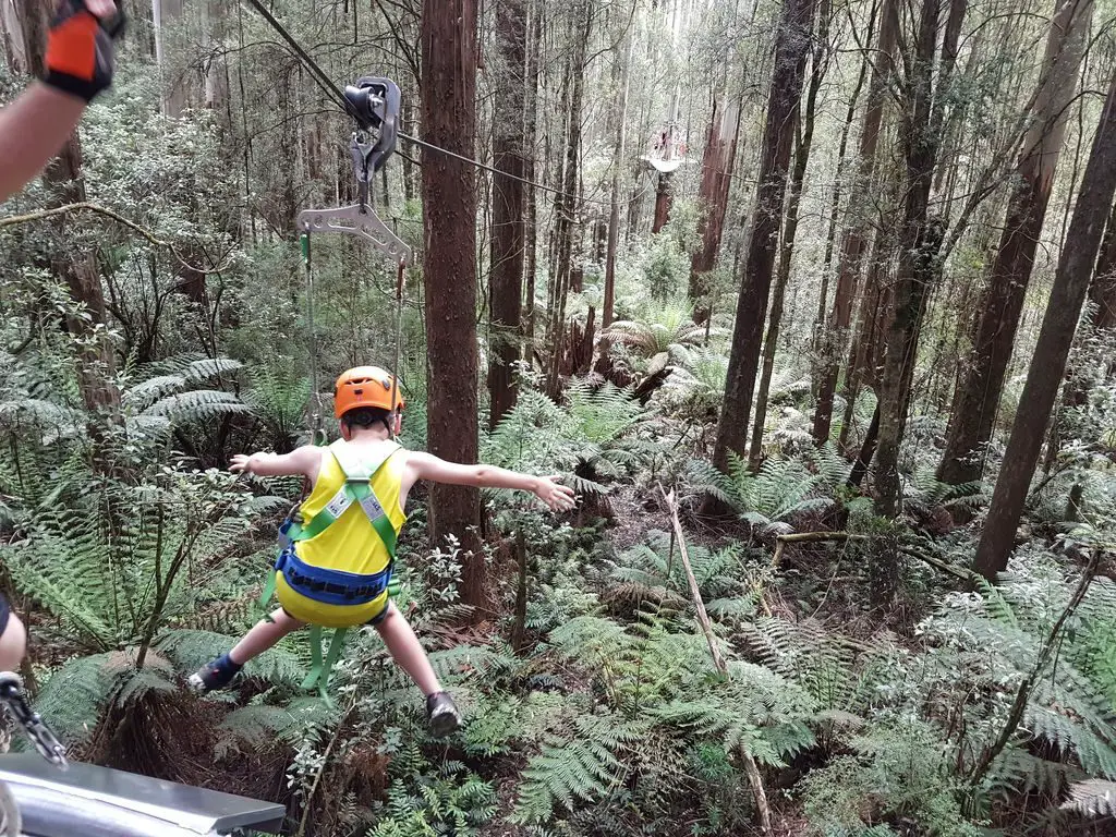 Top 15 Places On The Great Ocean Road - Zip line