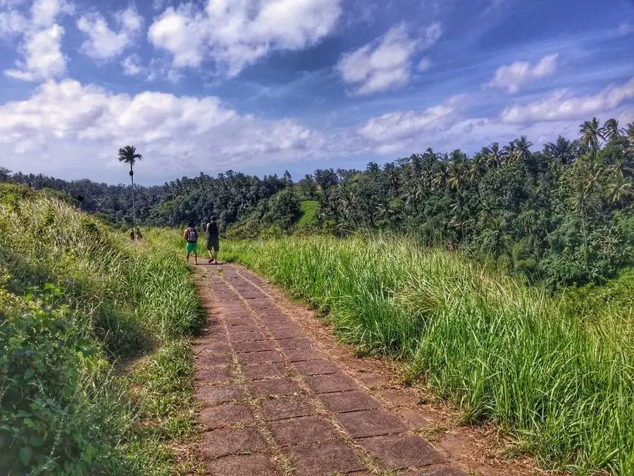 Bali With Kids: Ubud walk