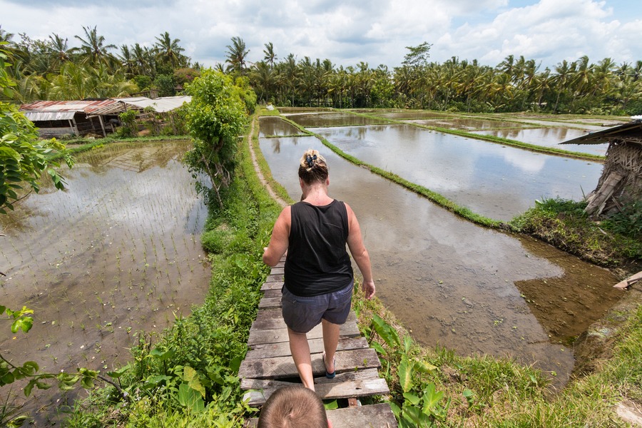 Penestanan Ubud