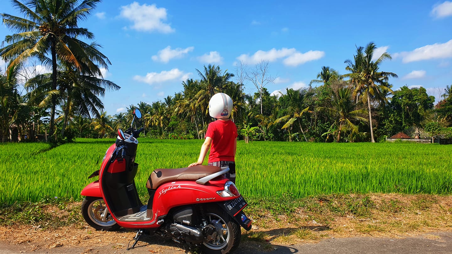 Driving In Bali