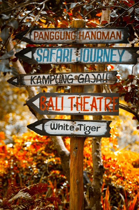 Bali Safari Park Honest Family Review