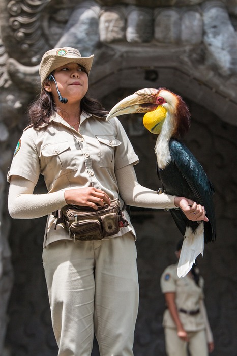 Bali Safari Park Bird Talk