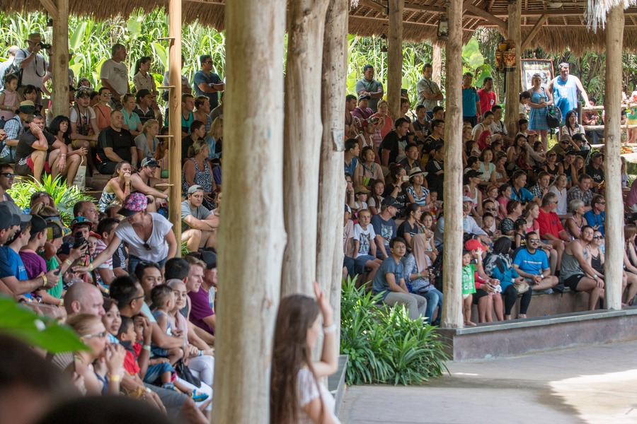 Bali Safari Park Honest Family Review - show crowd