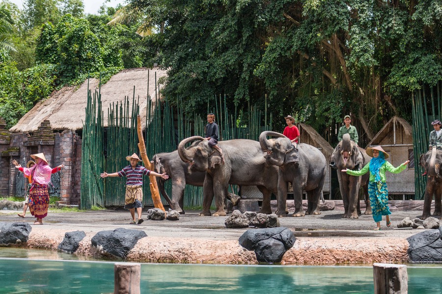 Bali Safari Park Honest Family Review - elephant show