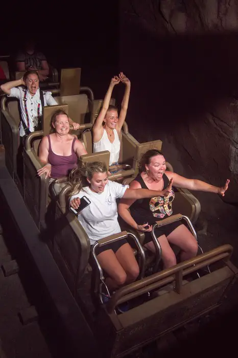 Disney VIP Tours - roller coaster