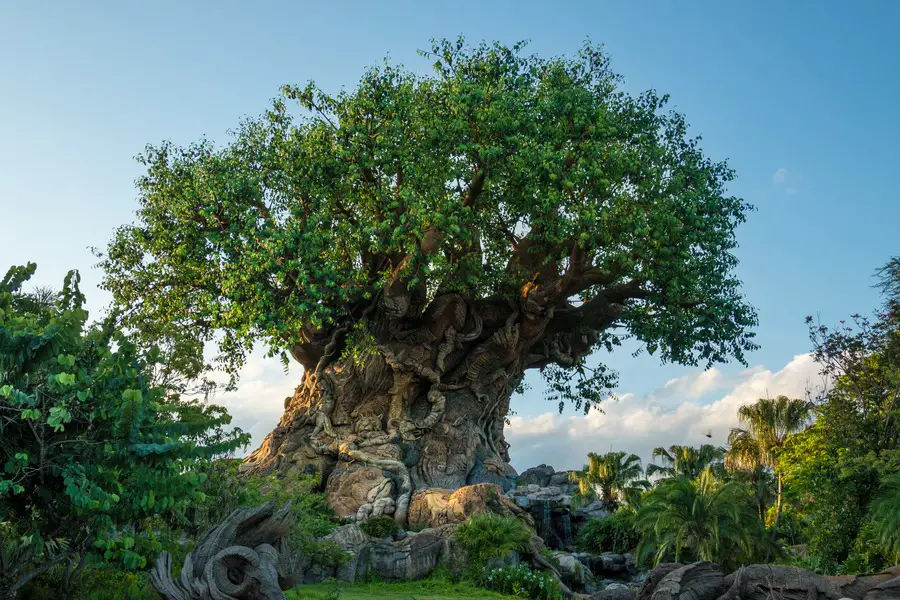 Disney VIP Tours  - Tree of life