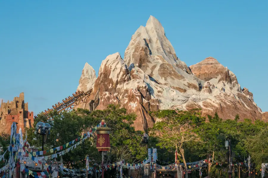 Disney VIP Tours - Mountain