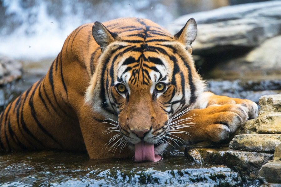 Florida Family Road Trip Guide | Our 2-Year North America Road Trip