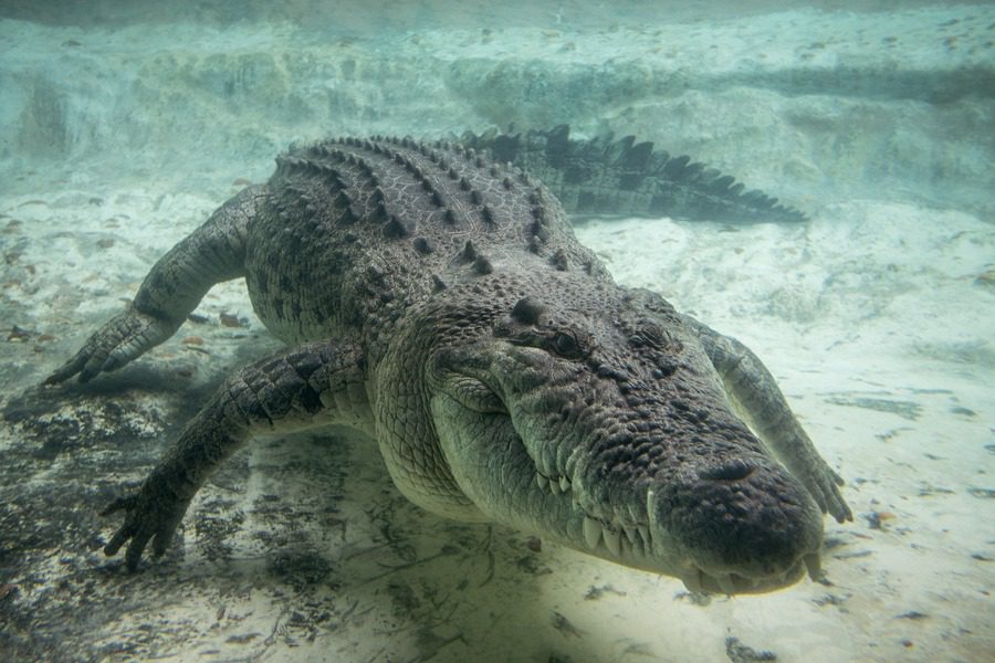 Florida Family Road Trip Guide | Our 2-Year North America Road Trip