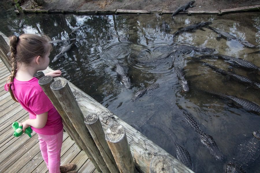 Florida Family Road Trip Guide | Our 2-Year North America Road Trip