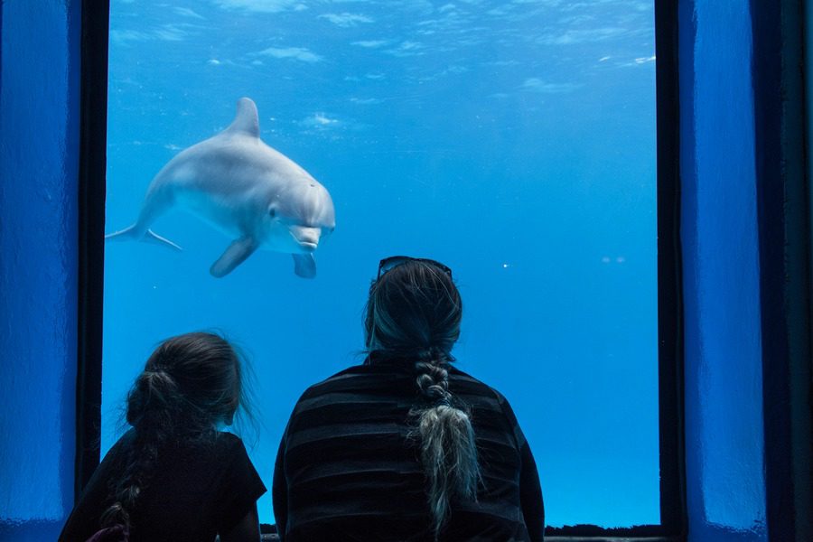 Florida Family Road Trip Guide | Our 2-Year North America Road Trip