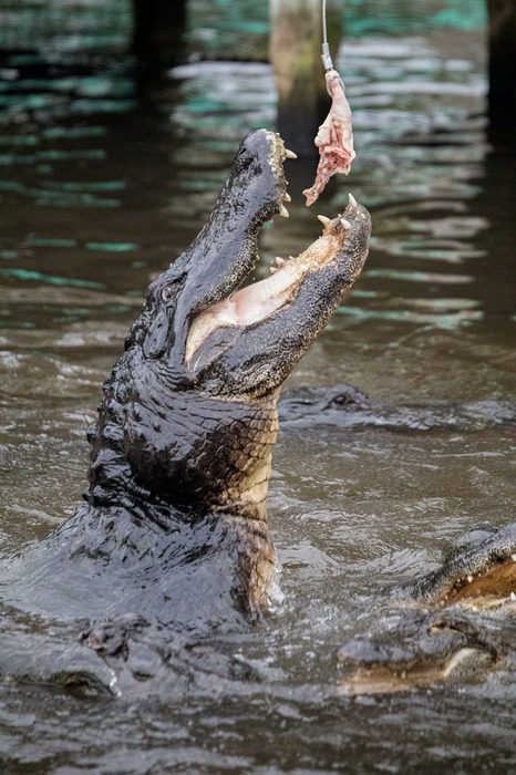 Florida Family Road Trip Guide | Our 2-Year North America Road Trip