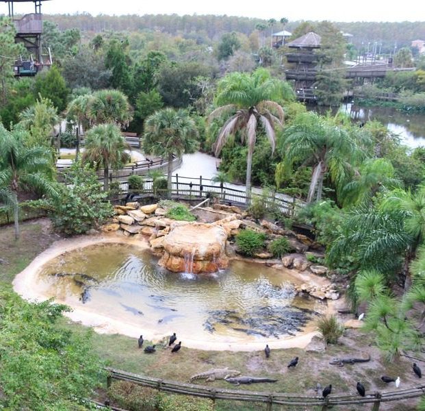 Florida Family Road Trip Guide | Our 2-Year North America Road Trip