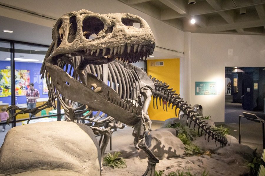 Florida Family Road Trip Guide | Our 2-Year North America Road Trip