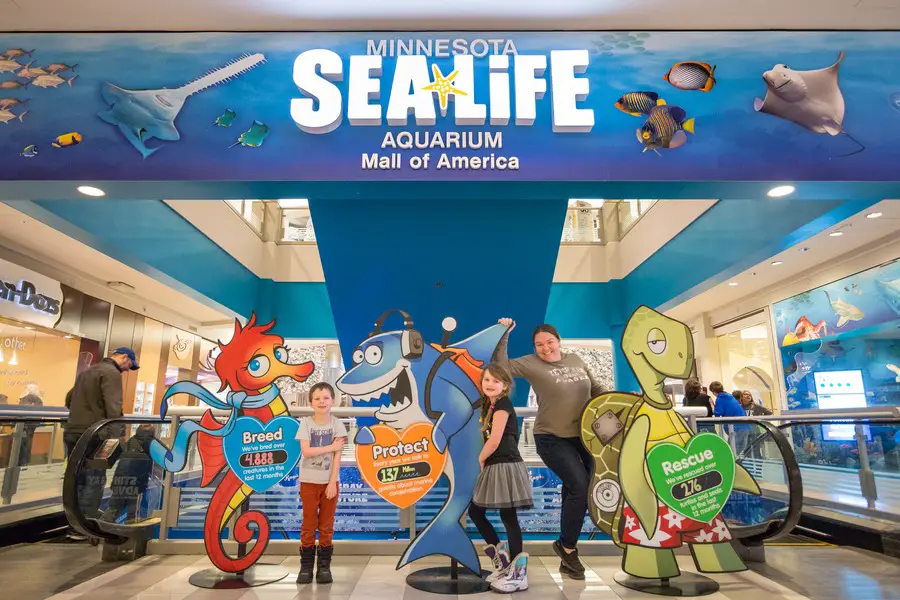 Things To Do In The Mall Of America With Kids - SEALIFE