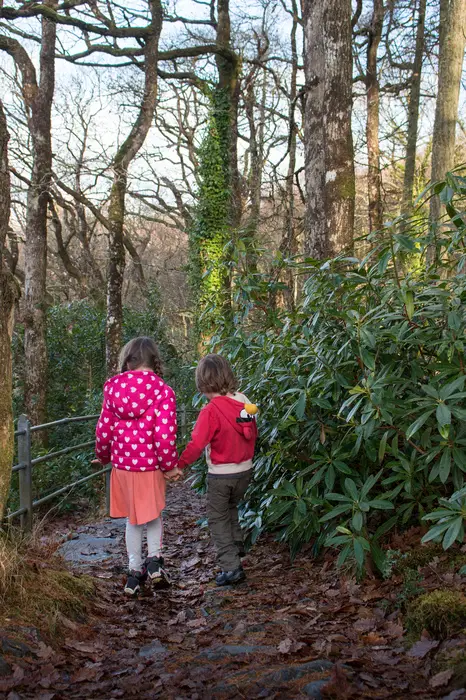 Mid Wales With Kids Devils Bridge walk