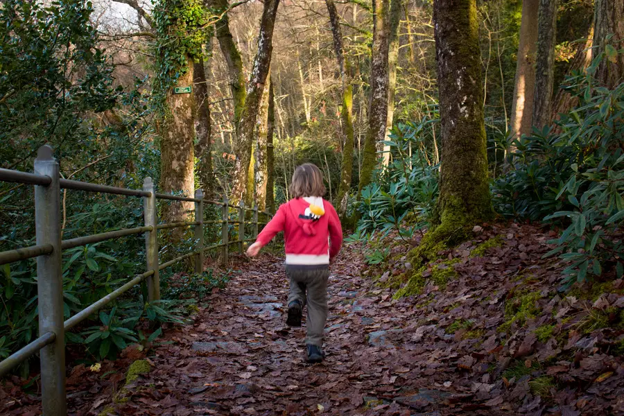 Mid Wales With Kids Devils Bridge