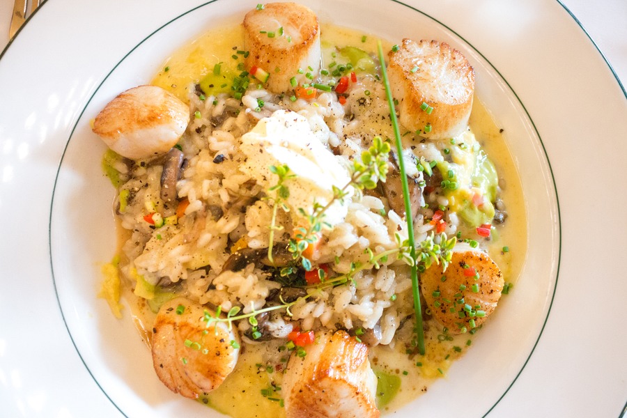 Nova Scotia Family Road Trip | Our North America Road Trip Adventure