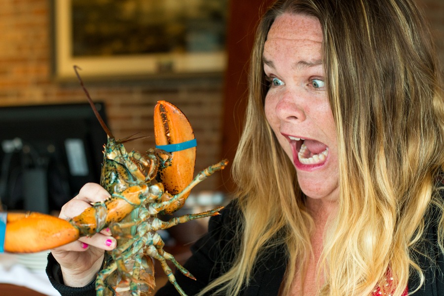 Nova Scotia Family Road Trip | Our North America Road Trip Adventure