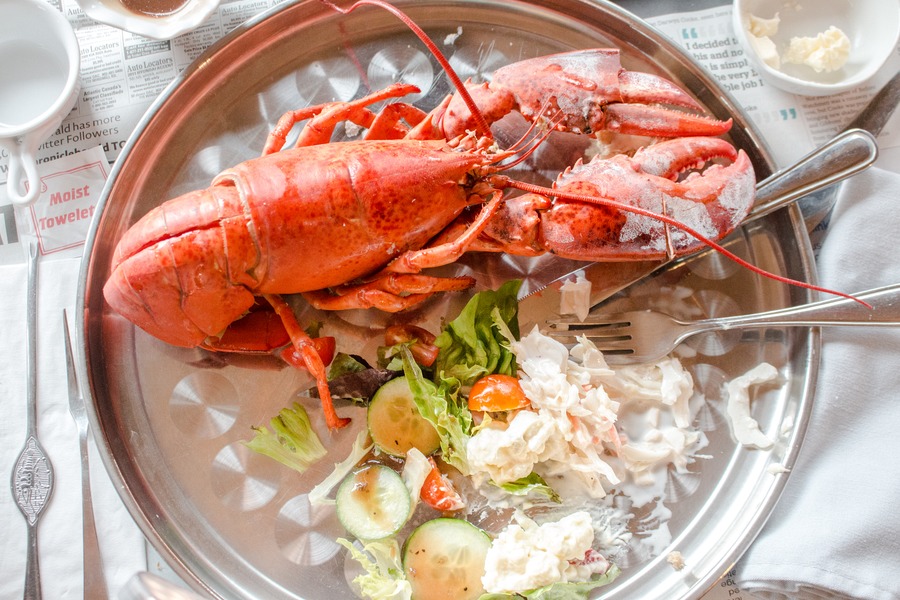 Nova Scotia Family Road Trip | Our North America Road Trip Adventure