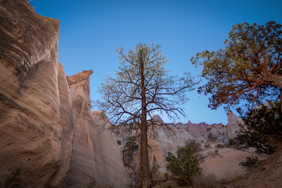 Southeast to South USA | Our 2-Year North America Road Trip Adventure