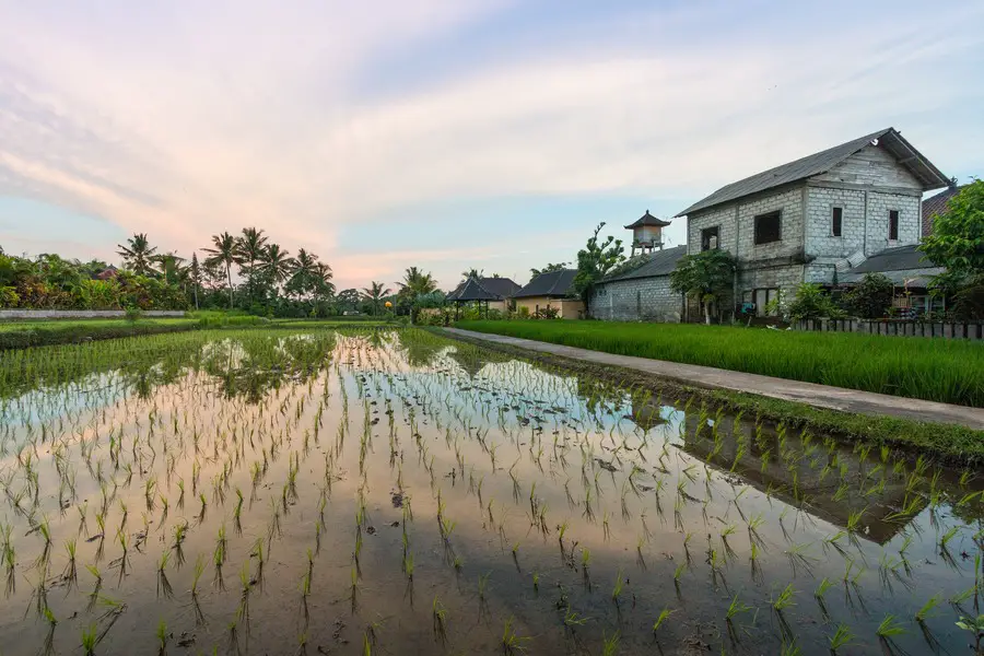 Bali Family Accommodation: Villa or Hotel?