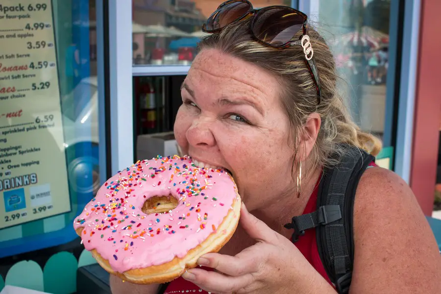 Guide To Universal Studios Orlando - donut