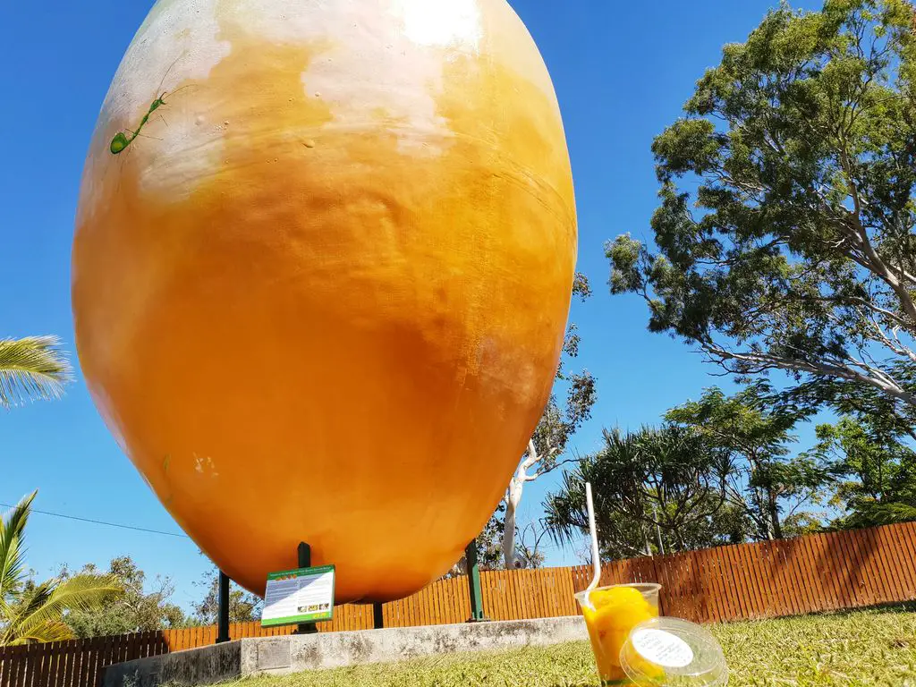 Where To eat in Whitsundays - Big Mango