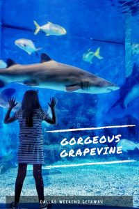 Gorgeous Grapevine - A weekend getaway from Dallas, Texas to the fun loving Grapevine. A family vacation hot spot - Great Wolf Lodge, Legoland, Sealife, and more!
