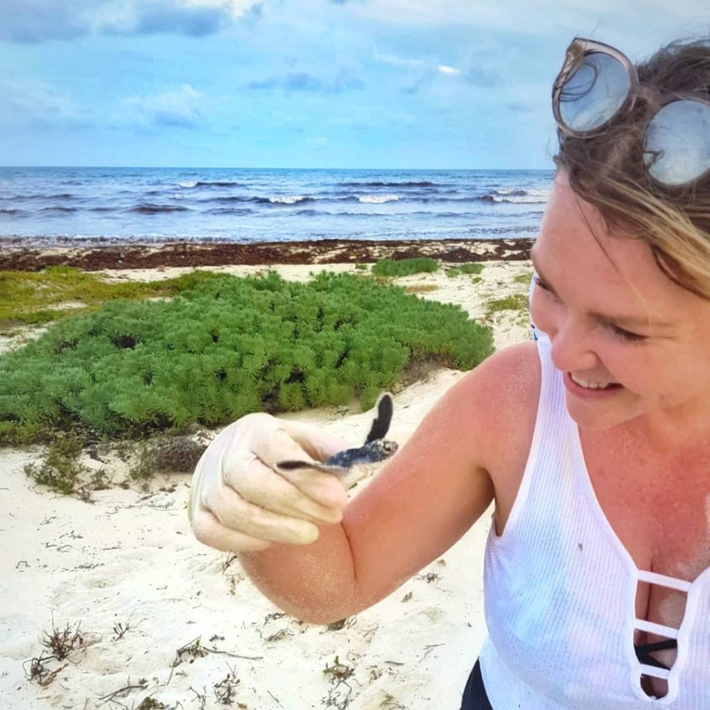 Releasing Sea Turtles 