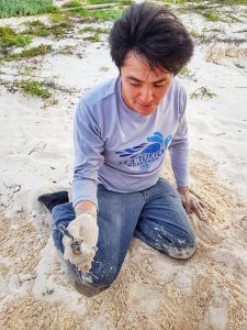 Releasing Sea Turtles - Volunteer