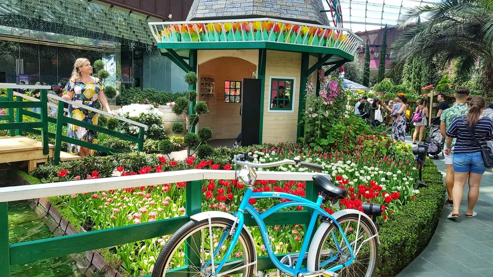 things to do with kids in Singapore - Flower dome