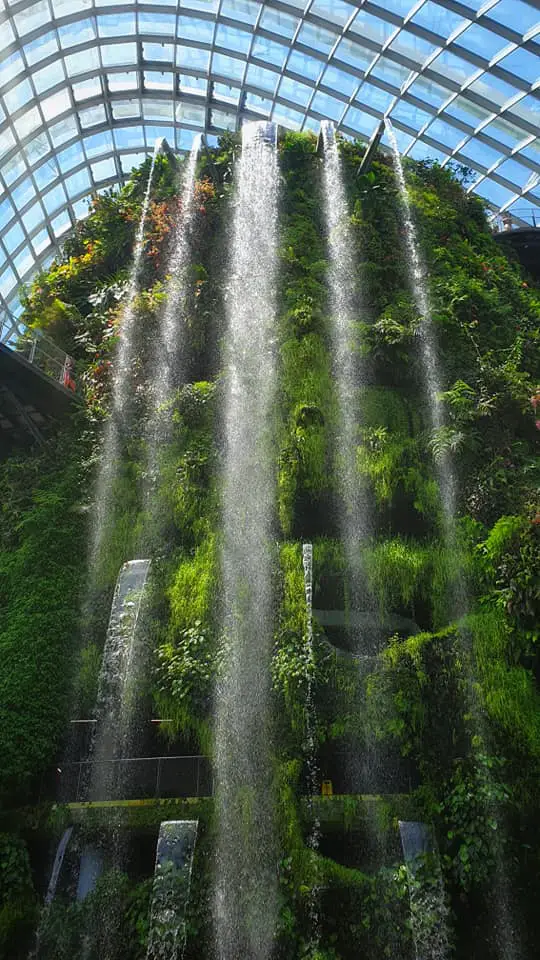 things to do with kids in Singapore - waterfall