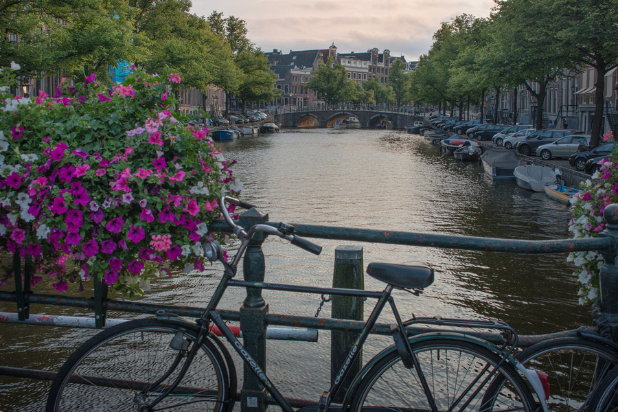 Amsterdam Travel Guide with kids