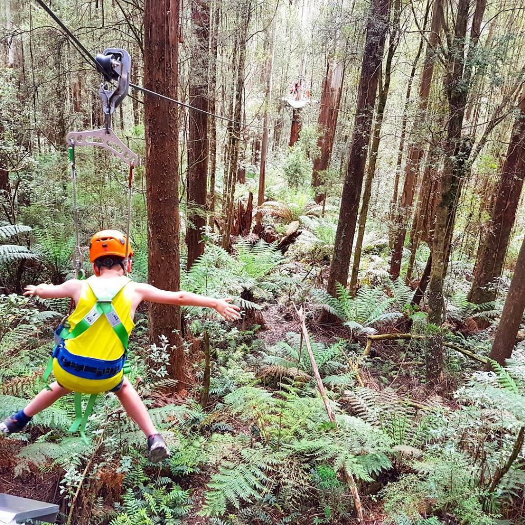 Things To Do With Kids In Melbourne - Otway Fly