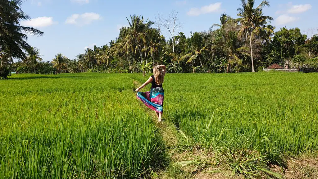 Kids Fit On Vacation - walking in rice fields