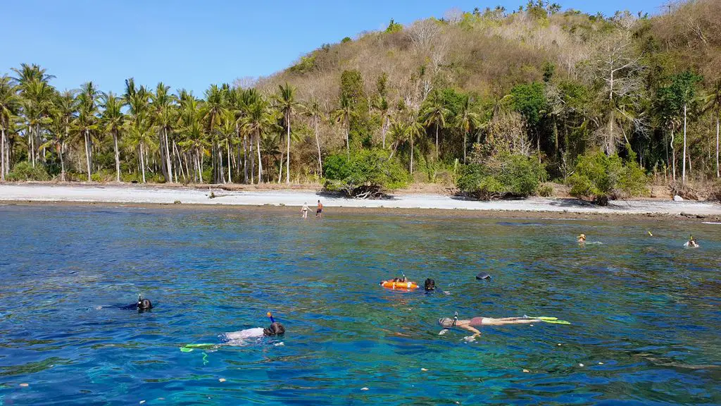 Best Things to Do in Bali with Teens - snorkeling